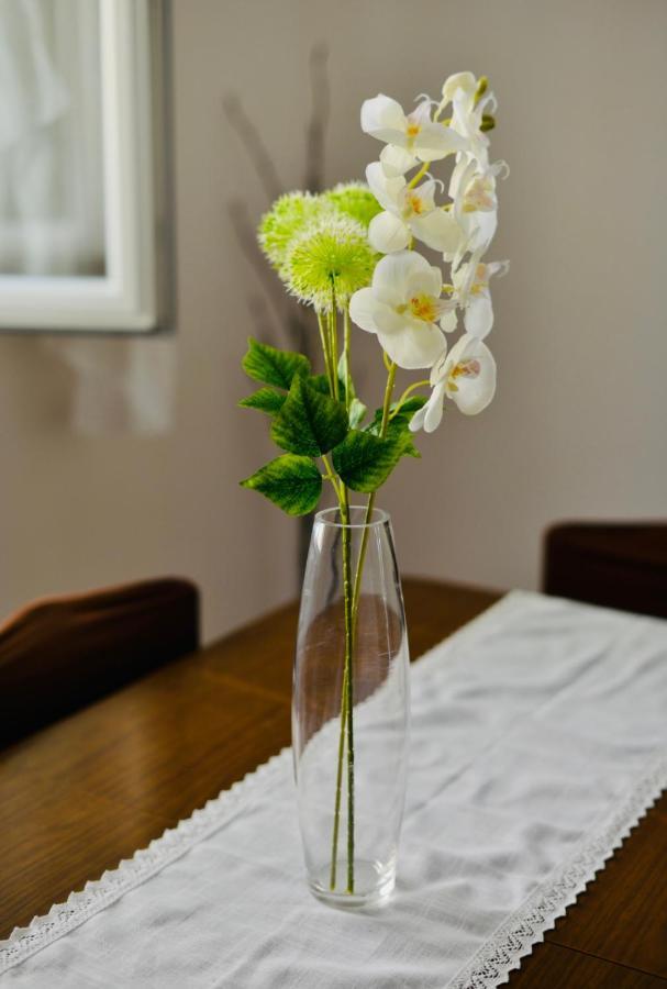 Apartment Niksa Novigrad  Dış mekan fotoğraf