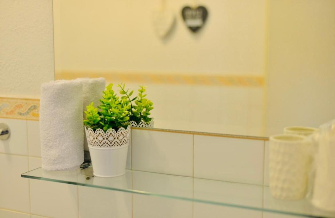 Apartment Niksa Novigrad  Dış mekan fotoğraf