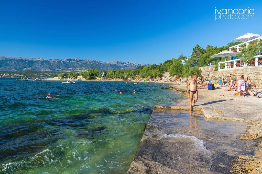 Apartment Niksa Novigrad  Dış mekan fotoğraf
