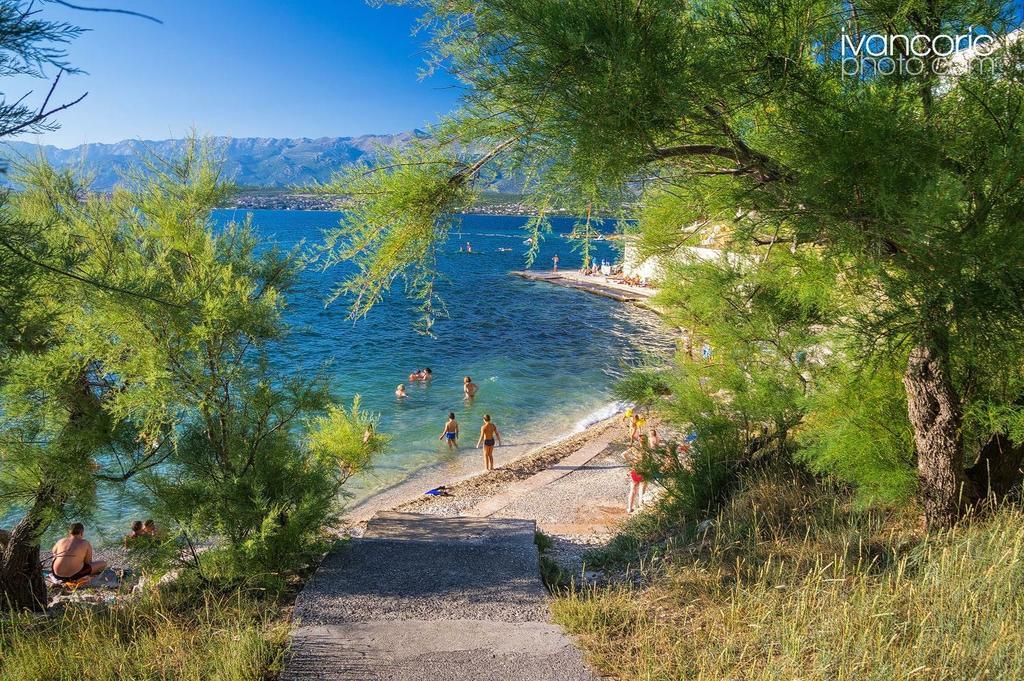 Apartment Niksa Novigrad  Dış mekan fotoğraf